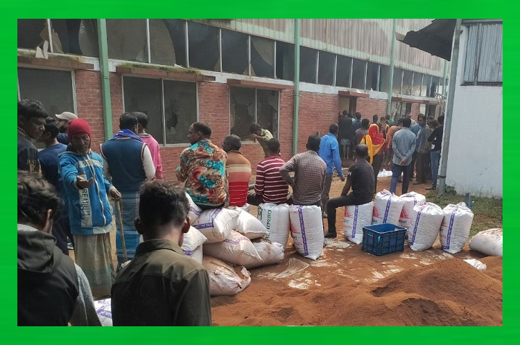 চা বাগানের কারখানায় ভয়াবহ আগুন, ৫০ কোটি টাকা ক্ষতি