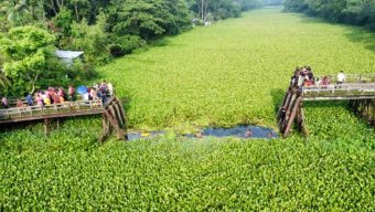 বরগুনার দুটি গাড়ি খালে পড়ে ১০ জনের লাশ উদ্ধার করা হয়েছে