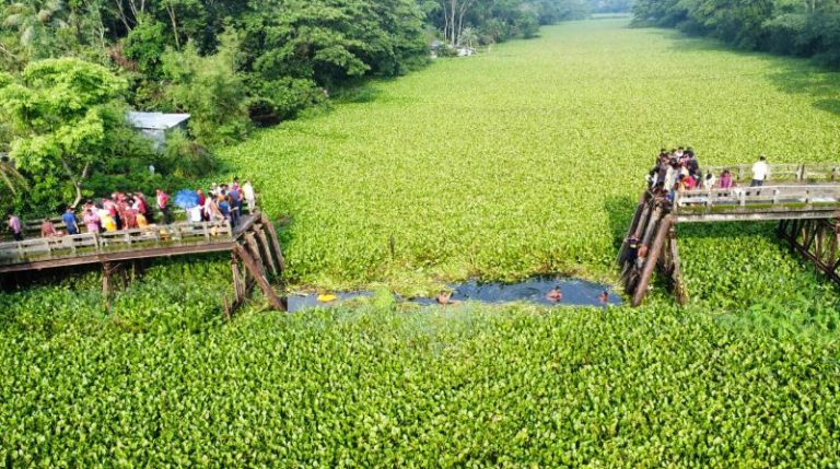 বরগুনার দুটি গাড়ি খালে পড়ে ১০ জনের লাশ উদ্ধার করা হয়েছে